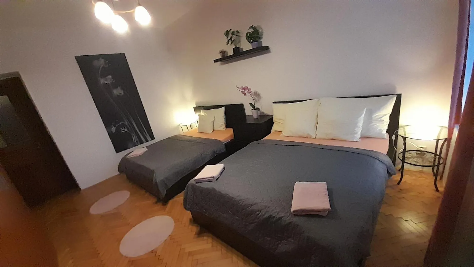 شقة Family Flat 120M2, Praha 2 Vinohrady براغ