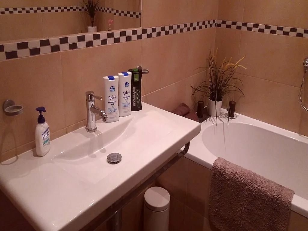 Family Flat 120M2, Praha 2 Vinohrady Apartman Csehország